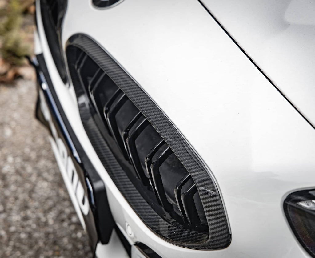 20+ Z4 G29 Double Slat Dry Carbon Grill