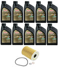 BMW E60 M5/M6 Oil Filter Service Kit By Castrol Euro 10W60