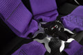 Braum 5 Point 3inch SFI Approved Racing Harness - Purple Each - Universal