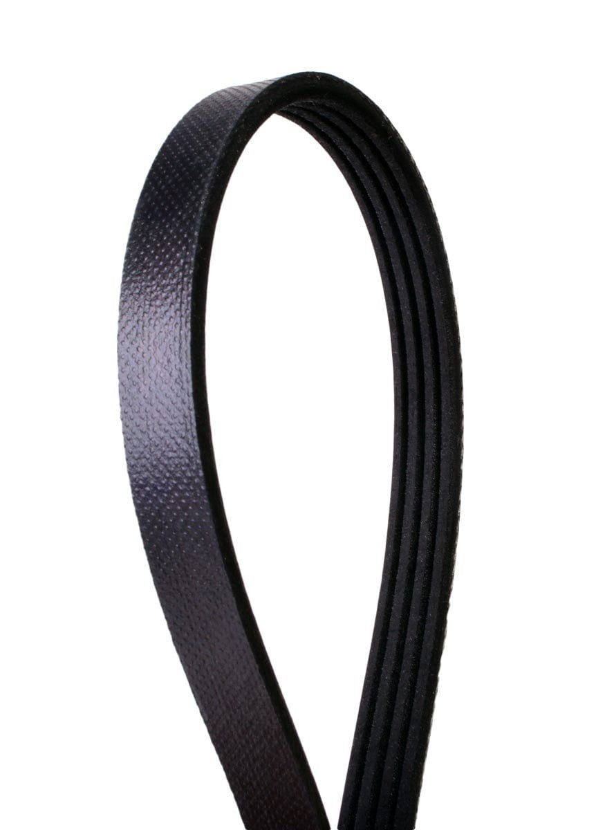 Metric Multi-V Belt - BMW