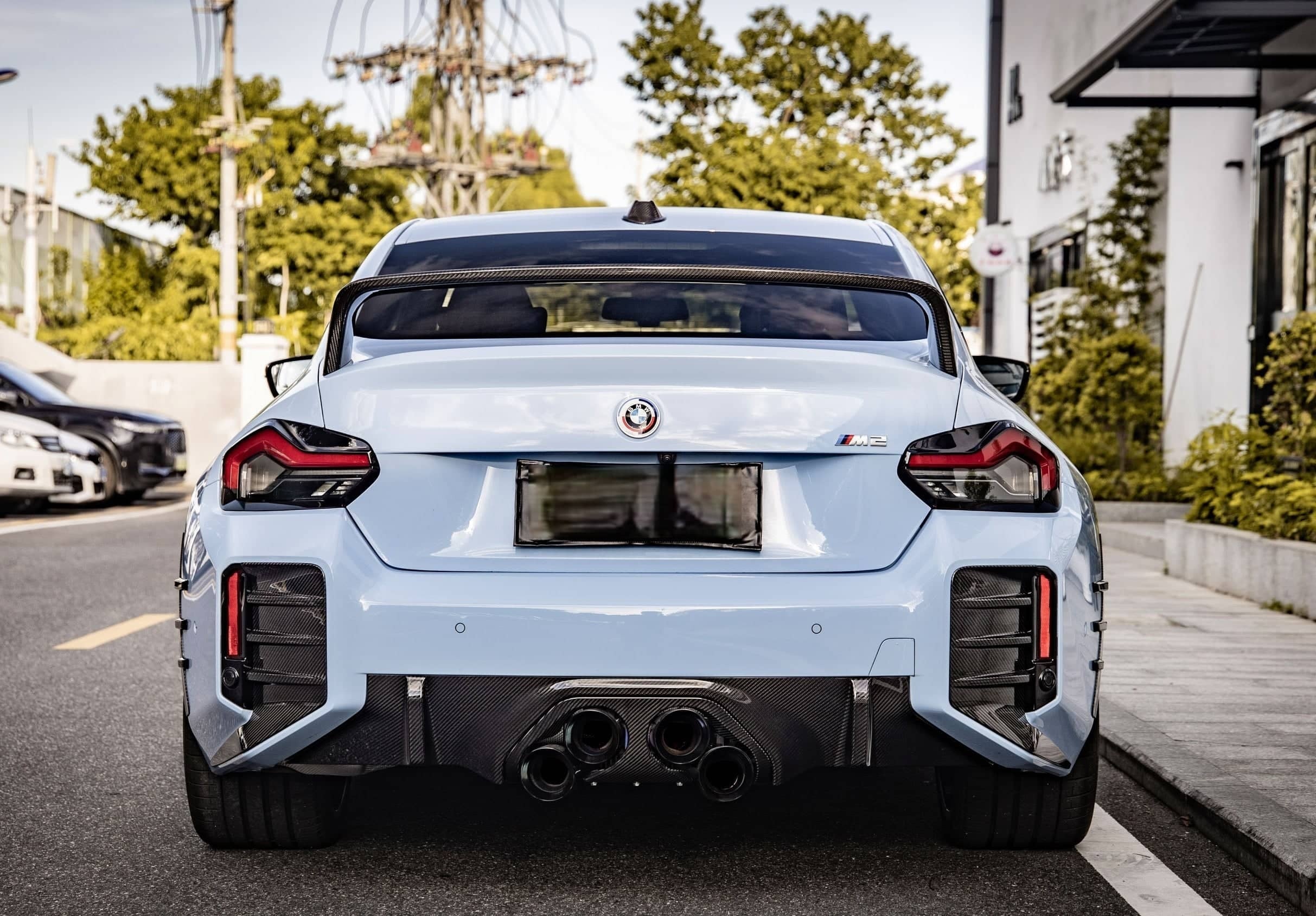 G87 Dry Carbon Fiber Wing