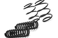 MMX Performance F40 M135i xDrive Lowering Spring Set