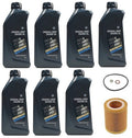 BMW F25 X3/X4 Oil Filter Service Kit OEM 83212365950